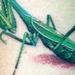 tattoo galleries/ - PRAYING MANTIS
